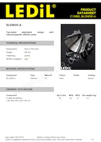 C13898_BLONDIE-A Datasheet Cover