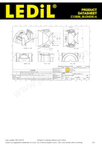 C13898_BLONDIE-A Datasheet Pagina 2