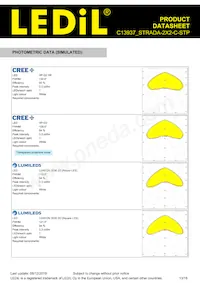 C13937_STRADA-2X2-C-STP Datasheet Page 13