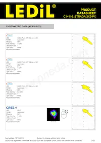 C14116_STRADA-2X2-PX Datasheet Page 3
