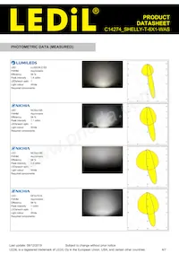 C14274_SHELLY-T-6X1-WAS Datasheet Pagina 4