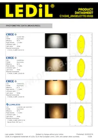 C14346_ANGELETTE-WAS Datasheet Page 12