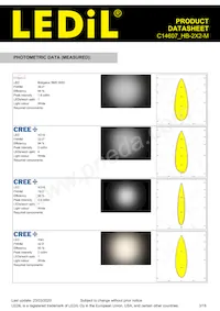 C14607_HB-2X2-M Datasheet Page 3