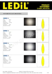 C14607_HB-2X2-M Datasheet Page 4