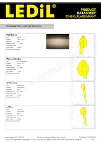 C14613_FLARE-MAXI-T Datasheet Page 3