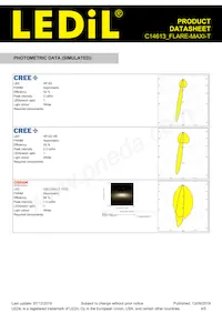 C14613_FLARE-MAXI-T Datasheet Page 4