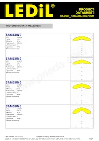 C14680_STRADA-2X2-VSM Datasheet Page 10