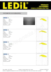 C15014_STRADA-2X2-T4-B Datasheet Page 4