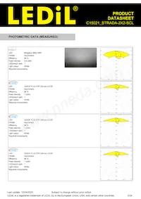 C15021_STRADA-2X2-SCL Datasheet Page 3