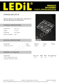 C15217_STRADA-2X2-CAT-B Datasheet Cover