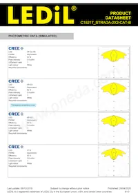 C15217_STRADA-2X2-CAT-B Datasheet Page 8