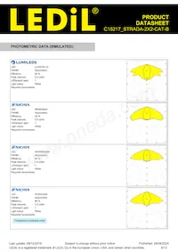 C15217_STRADA-2X2-CAT-B Datasheet Page 9