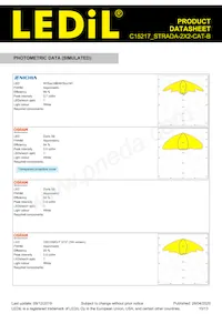 C15217_STRADA-2X2-CAT-B Datasheet Page 10