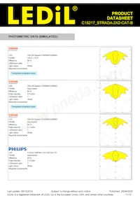 C15217_STRADA-2X2-CAT-B Datasheet Pagina 11
