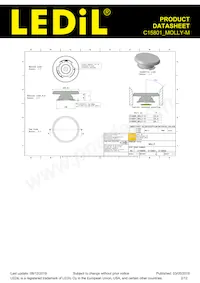 C15801_MOLLY-M Datasheet Page 2