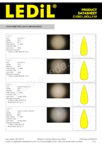 C15801_MOLLY-M Datasheet Page 3