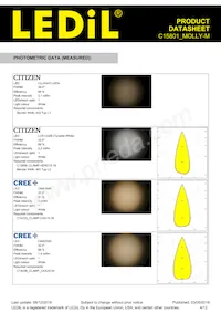 C15801_MOLLY-M Datasheet Pagina 4