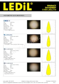 C15801_MOLLY-M Datasheet Pagina 6