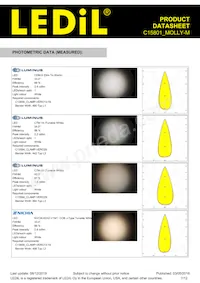 C15801_MOLLY-M Datasheet Pagina 7