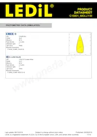 C15801_MOLLY-M Datasheet Page 11