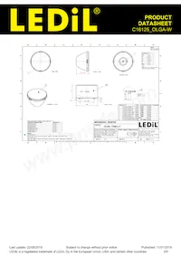 C16125_OLGA-W Datasheet Pagina 2