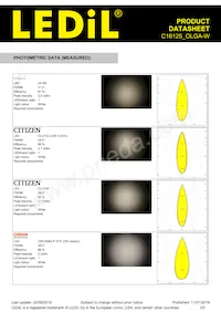 C16125_OLGA-W Datasheet Page 3