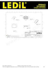 C16520_PETUNIA2 Datasheet Pagina 2