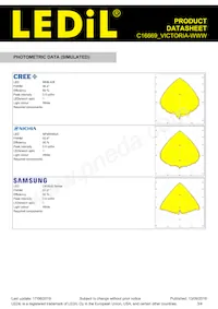 C16669_VICTORIA-WWW Datasheet Page 3