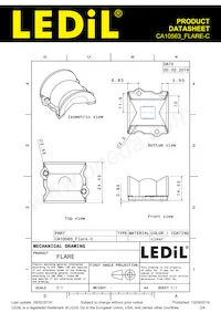 CA10563_FLARE-C Datasheet Page 2