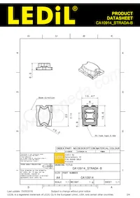 CA10914_STRADA-B Datasheet Page 2