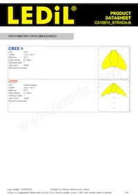 CA10914_STRADA-B Datasheet Page 3