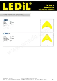 CA10925_STRADA-B Datasheet Page 3