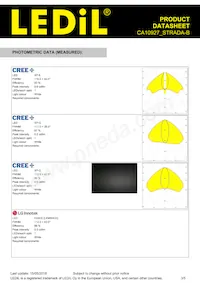 CA10927_STRADA-B Datasheet Page 3