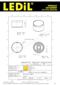 CA11016_TINA2-RS Datasheet Page 2