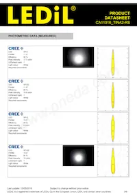 CA11016_TINA2-RS Datasheet Page 3