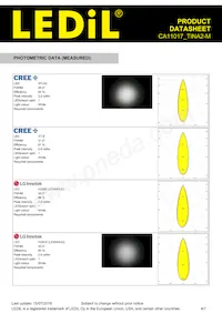 CA11017_TINA2-M Datasheet Page 4
