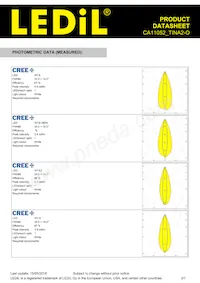 CA11052_TINA2-O Datasheet Page 3