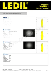 CA11172_TINA2-D Datasheet Page 3