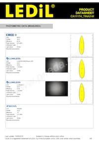 CA11174_TINA2-M Datasheet Page 3