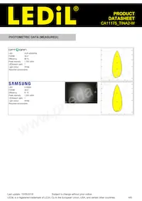 CA11175_TINA2-W Datasheet Pagina 4