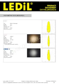 CA11182_BROOKE-M Datasheet Page 3