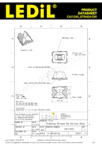 CA11243_STRADA-DW Datasheet Page 2