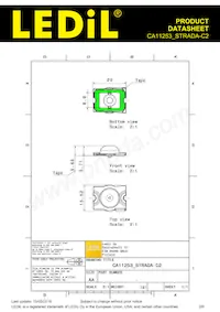 CA11253_STRADA-C2 Datasheet Page 2