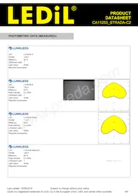 CA11253_STRADA-C2 Datasheet Page 4