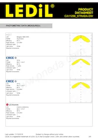 CA11256_STRADA-DW Datasheet Page 3