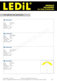 CA11256_STRADA-DW Datasheet Page 4