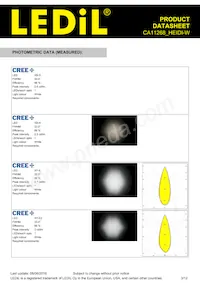 CA11268_HEIDI-W Datasheet Page 3