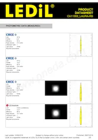 CA11353_LAURA-RS Datasheet Page 3