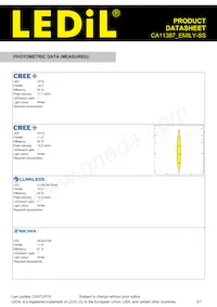 CA11387_EMILY-SS Datasheet Page 3