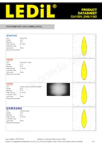 CA11391_EMILY-M2 Datasheet Page 6